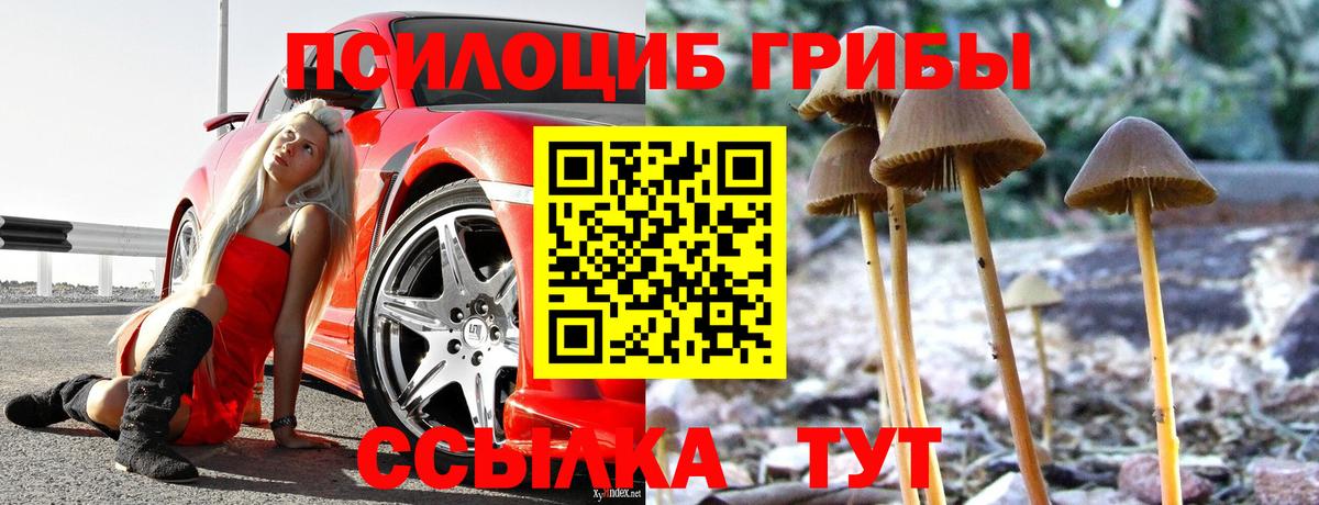 Псилоцибиновые грибы MAGIC MUSHROOMS Междуреченск